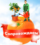 ��������� � c�������, ���������, ����������� ��������-������